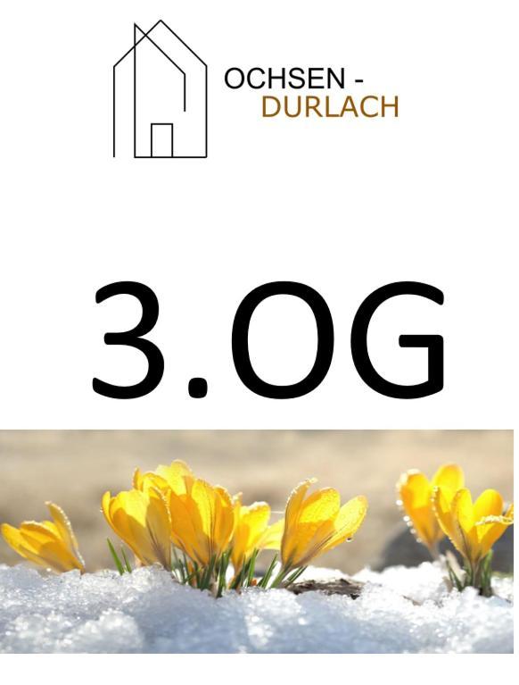 Ochsen-Durlach Karlsruhe Room photo