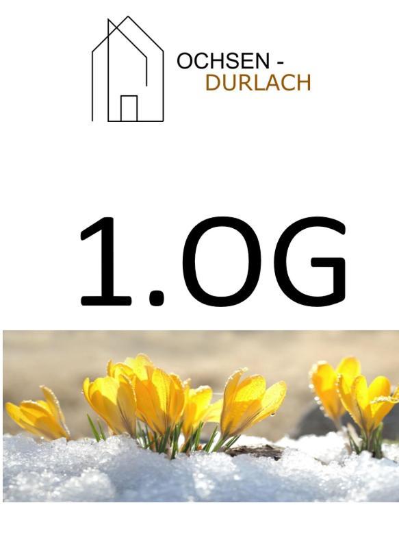 Ochsen-Durlach Karlsruhe Exterior photo